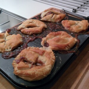 Fail - Chestnut pies